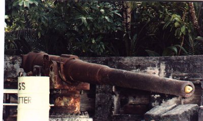 Cannons and coconuts, Diego Garcia, BIOT Dec 1981.jpg (29438 bytes)